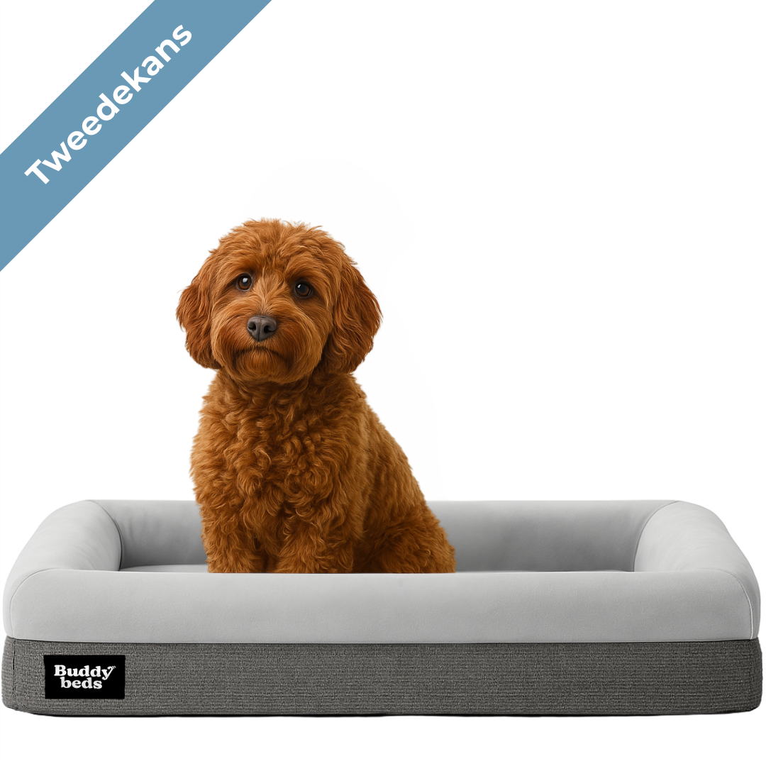 Tweedekans Buddy Bed