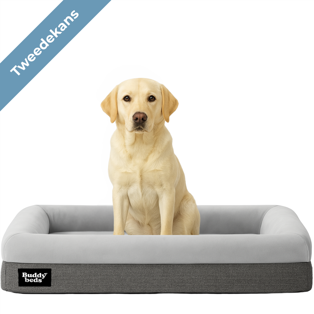 Tweedekans Buddy Bed