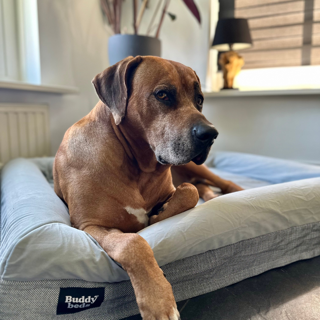 Original Soft Grey Hoes