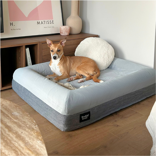 Medium Buddy Bed