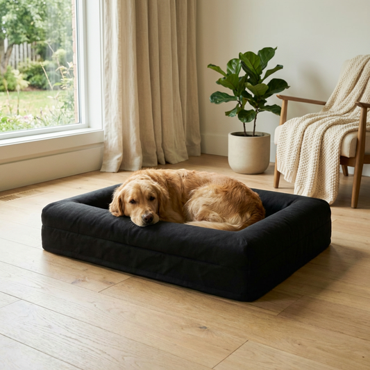 Houes noires UltraProtect