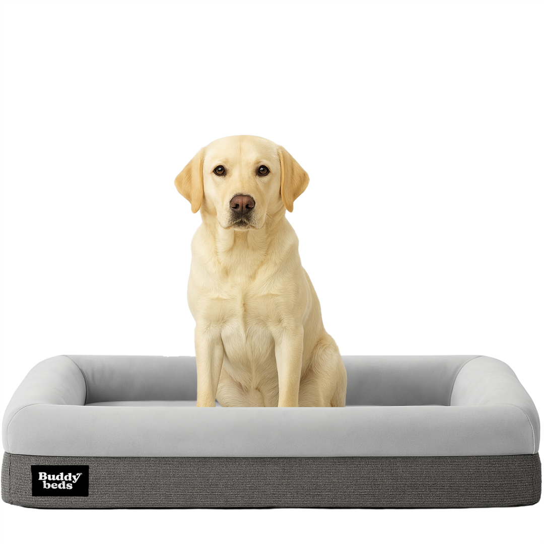 Large Buddy Bed