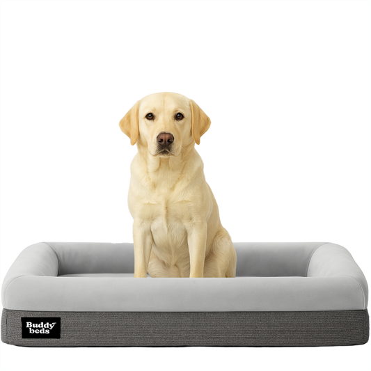 Large Buddy Bed