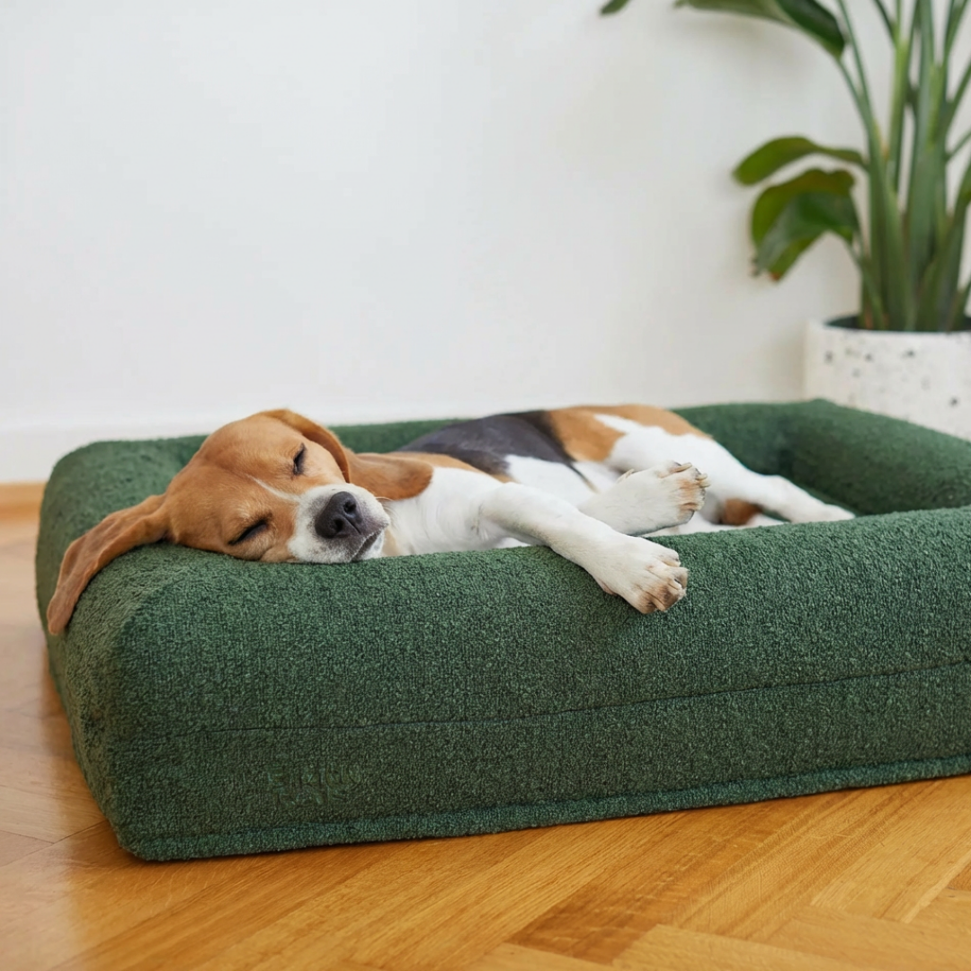 Buddy Beds