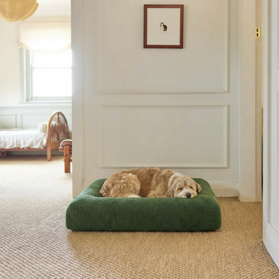 Medium Buddy Bed