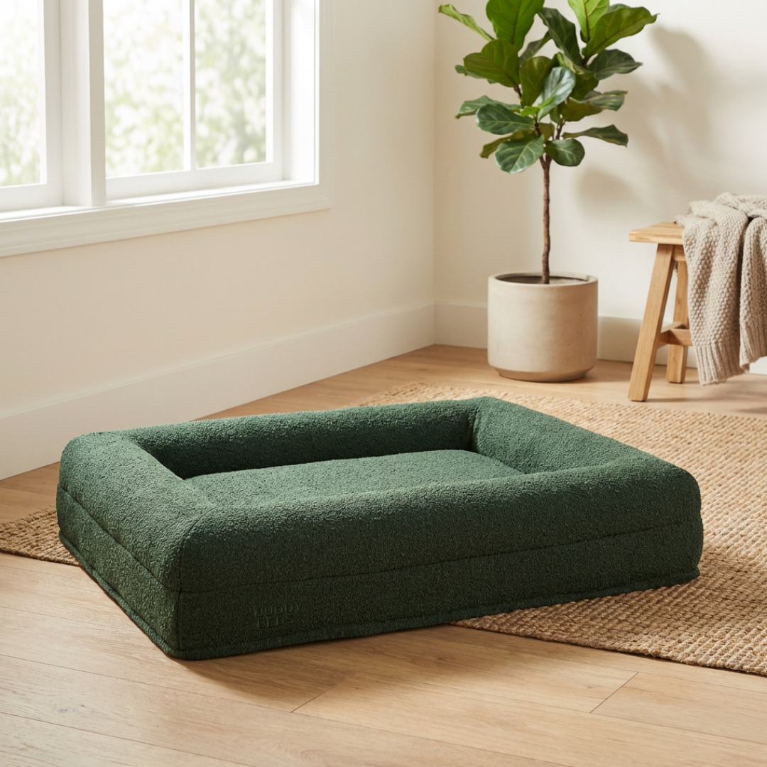 Bouclé Forest Green