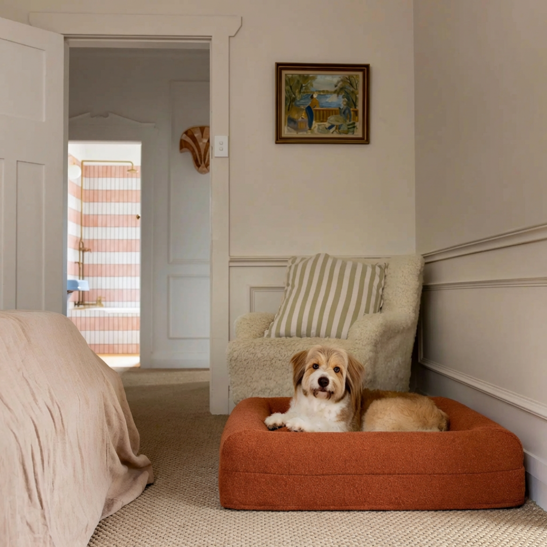 Small Buddy Bed