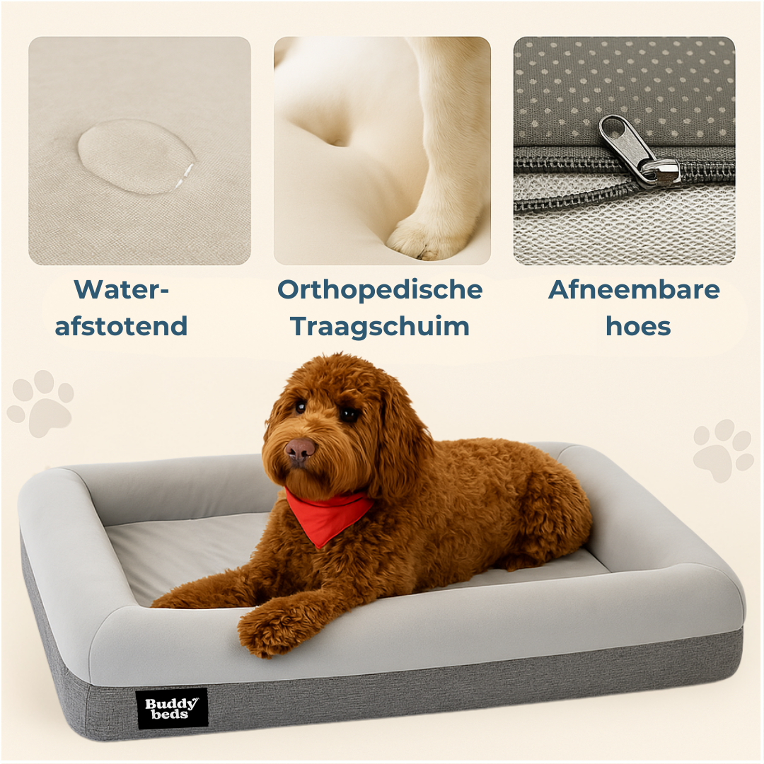 Medium Buddy Bed