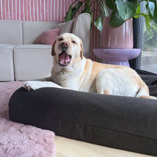 Pullover Hoes Antraciet