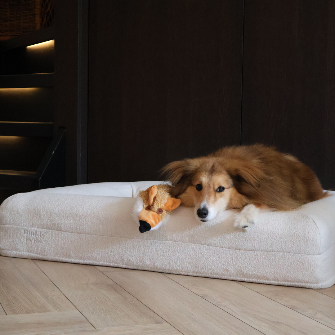 Large Buddy Bed