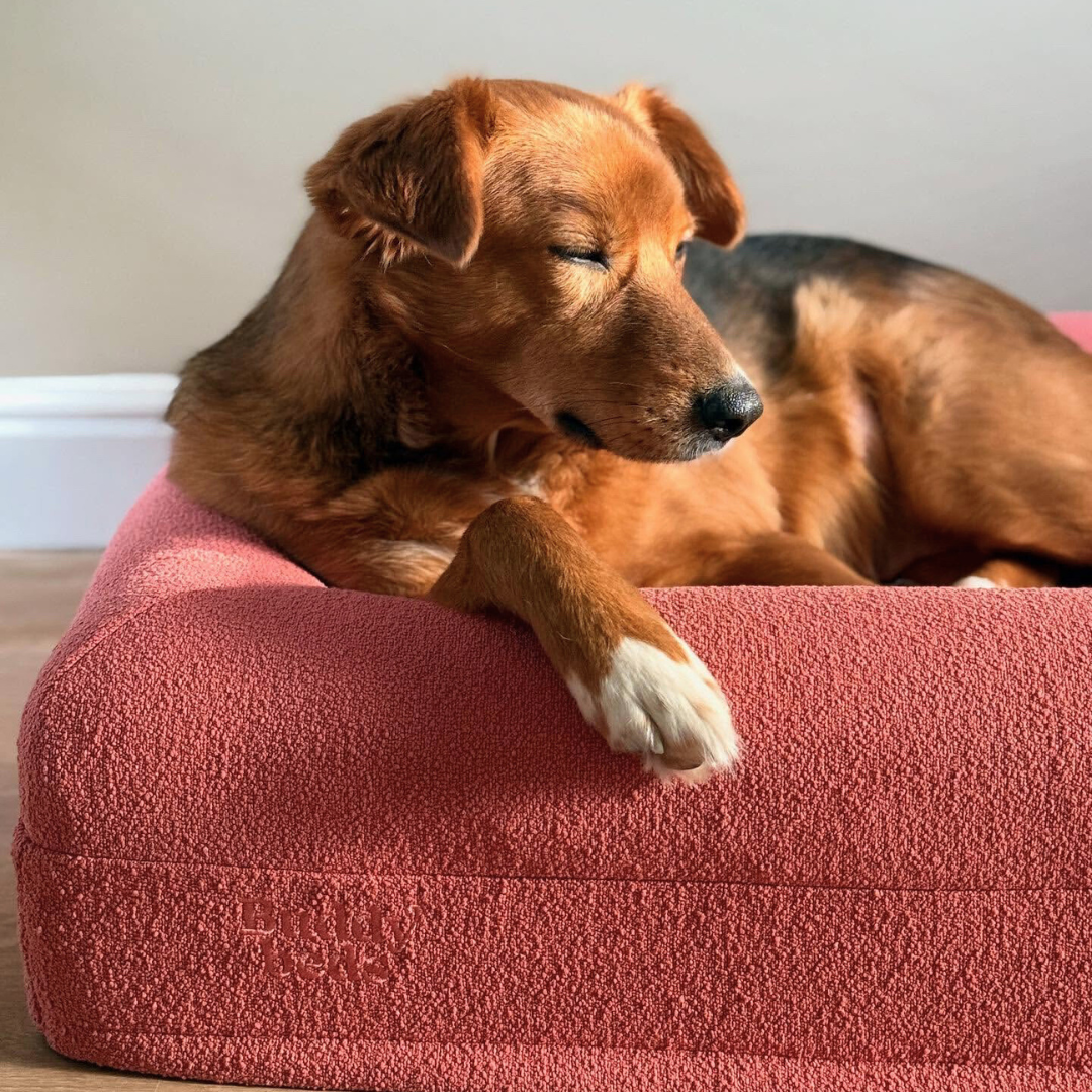 Large Buddy Bed