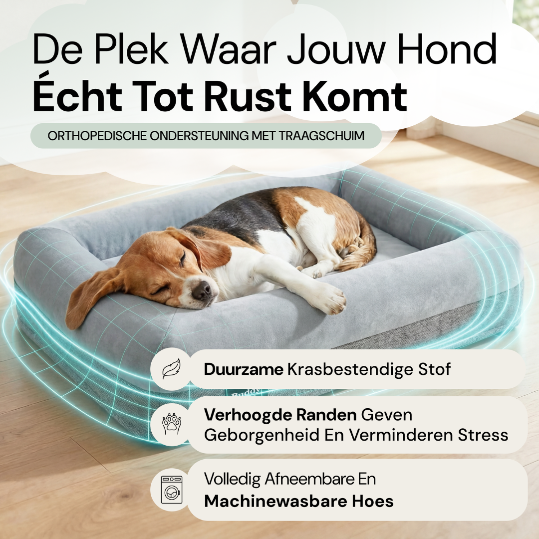 Mittleres Buddy-Bett