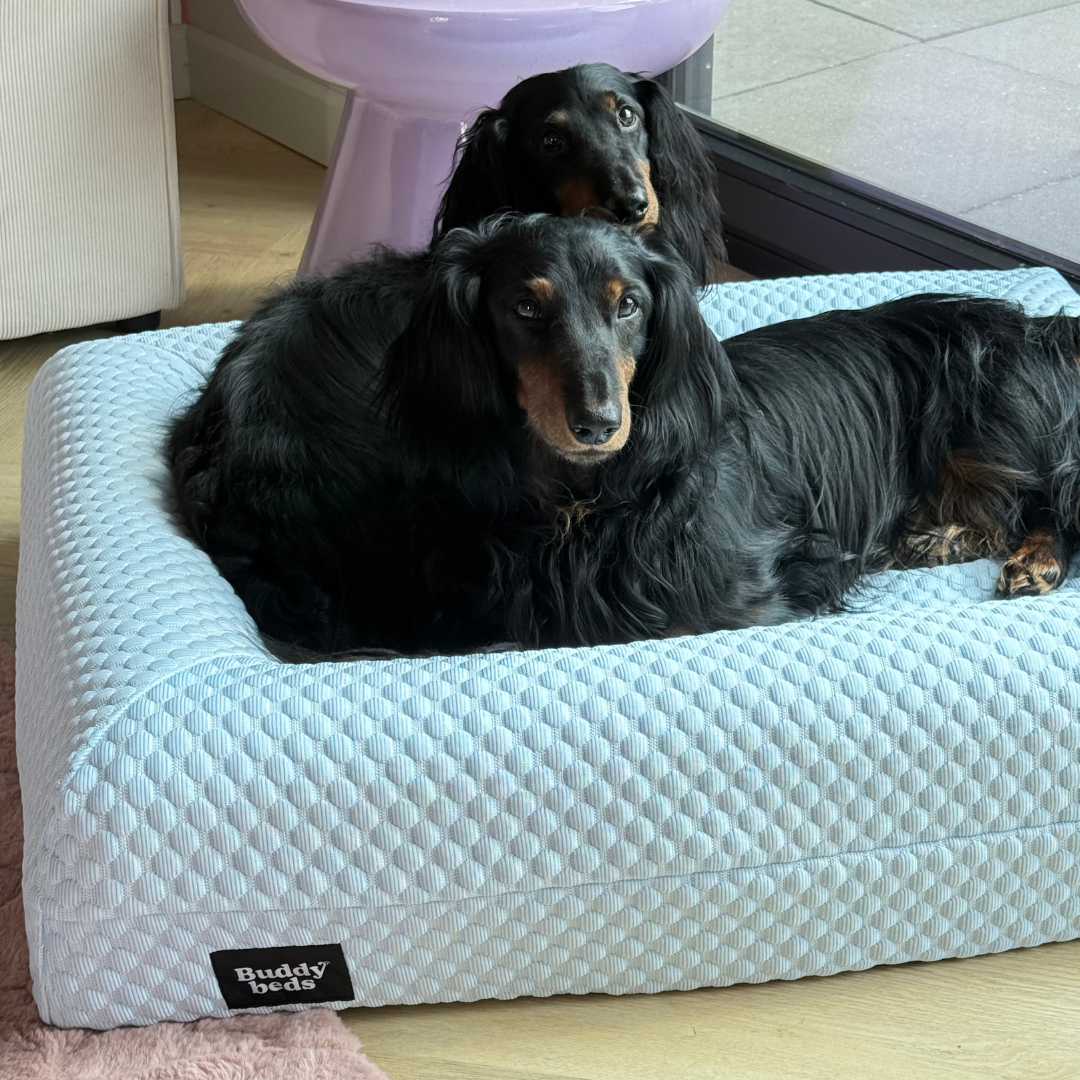 Verkoelende Hoes Icy Blue