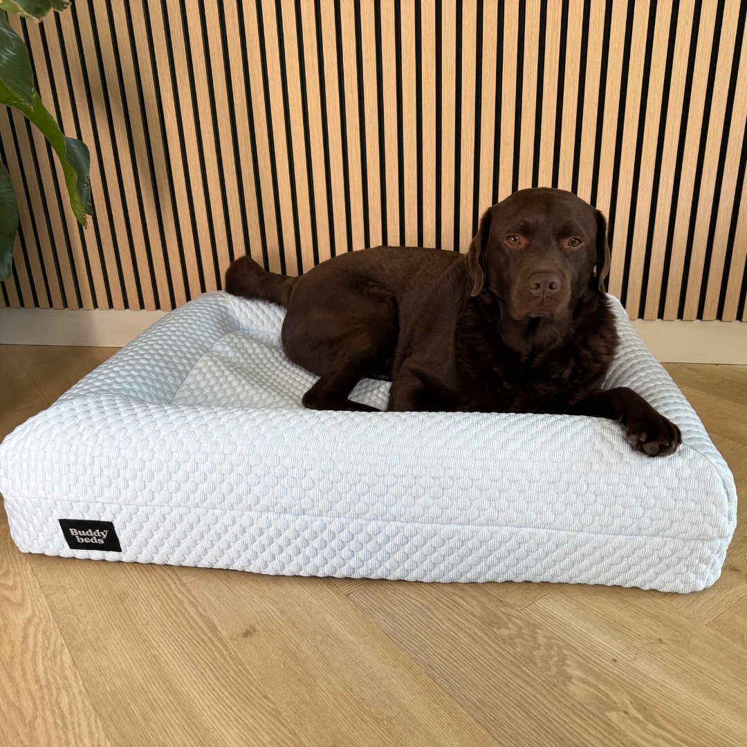 Verkoelende Hoes Icy Blue