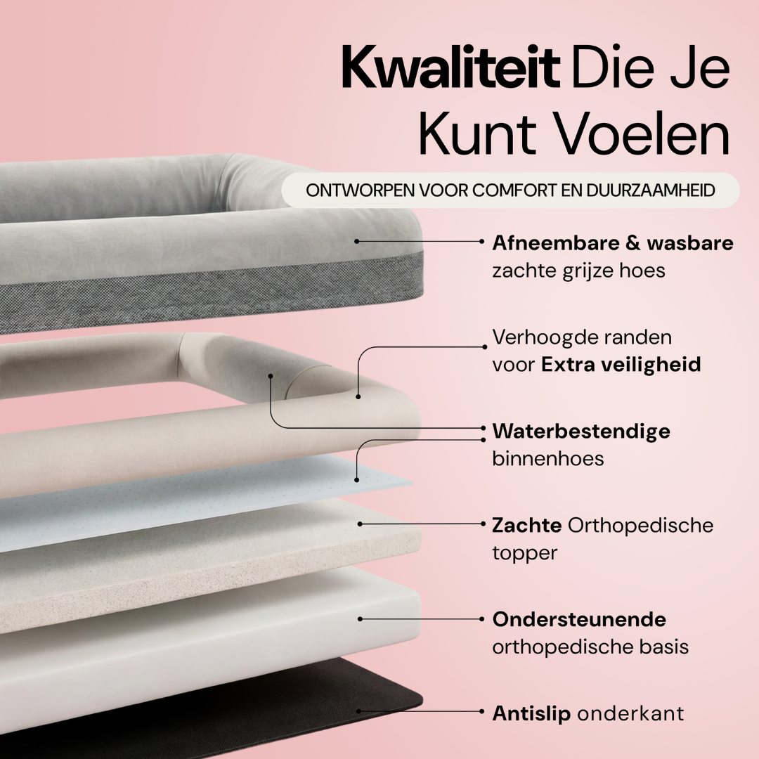 Mittleres Buddy-Bett
