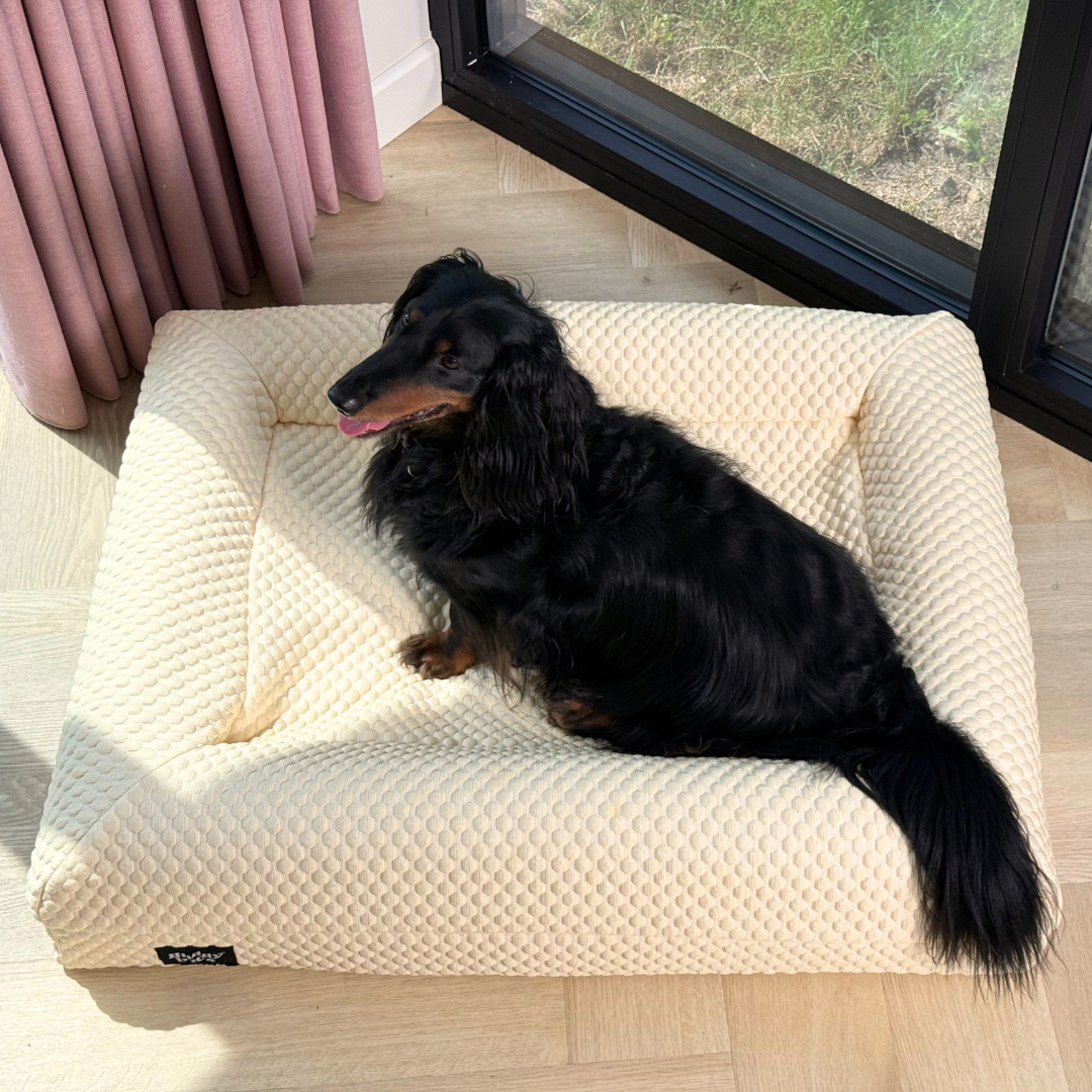 Verkoelende Hoes Natural Yellow