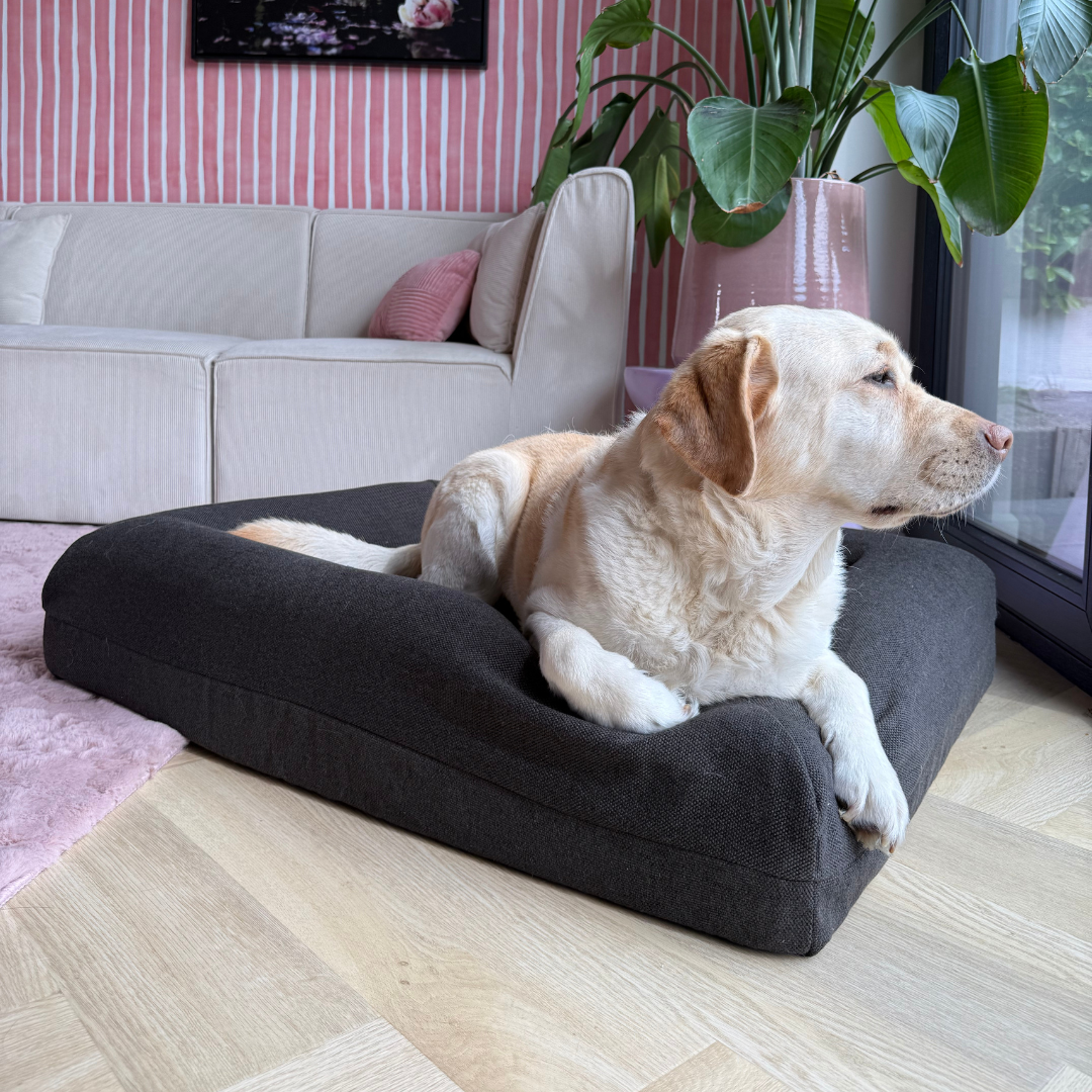 Pullover Couverture anthracite