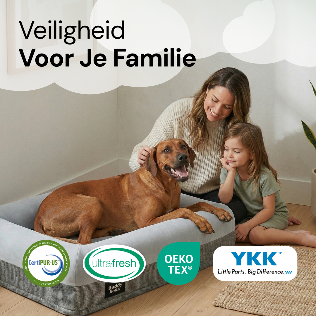 Mittleres Buddy-Bett