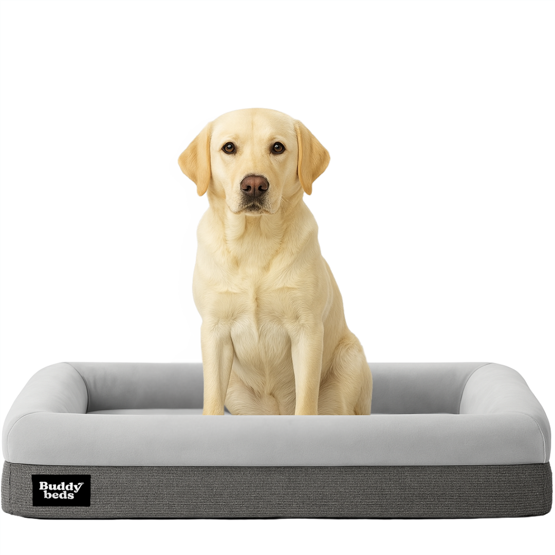 Medium Buddy Bed