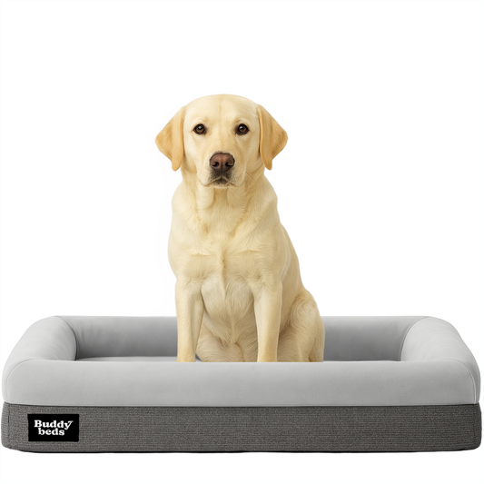 Medium Buddy Bed