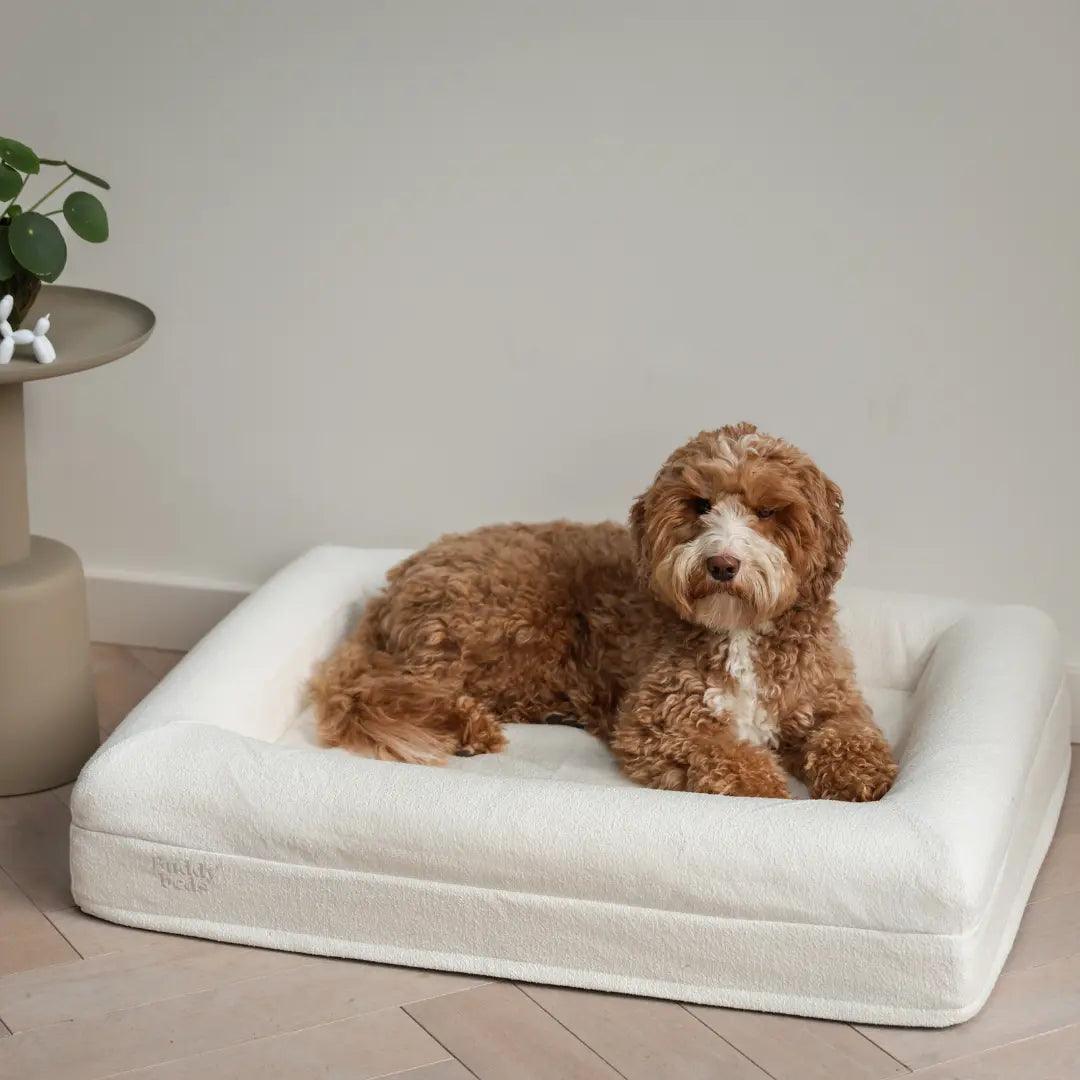 Bouclé Hoes - Buddy Beds - Orthopedische Hondenmand