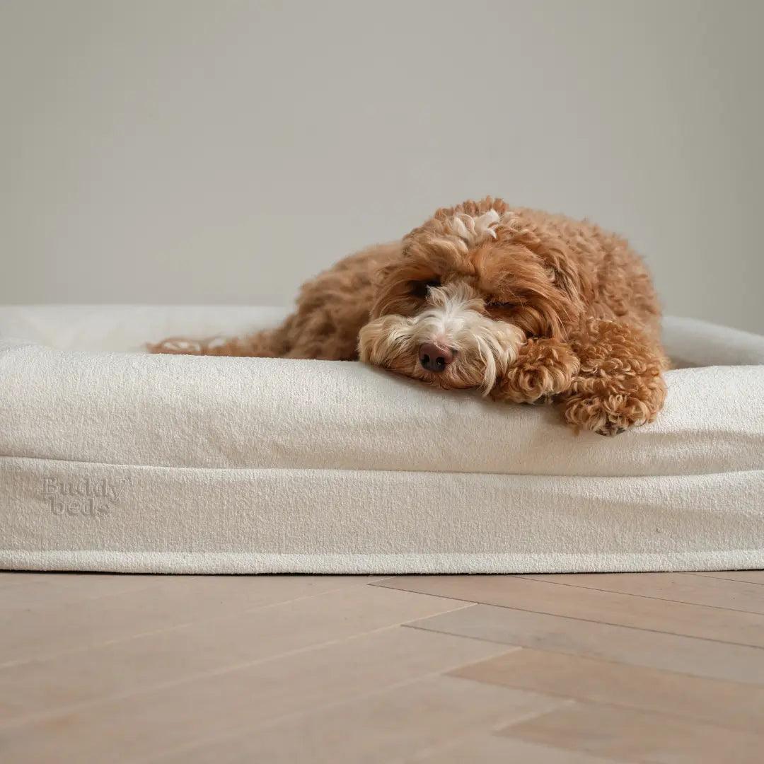Bouclé Hoes - Buddy Beds - Orthopedische Hondenmand
