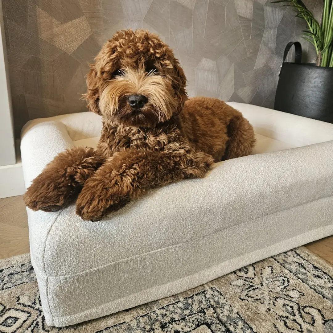 Bouclé Hoes - Buddy Beds - Orthopedische Hondenmand