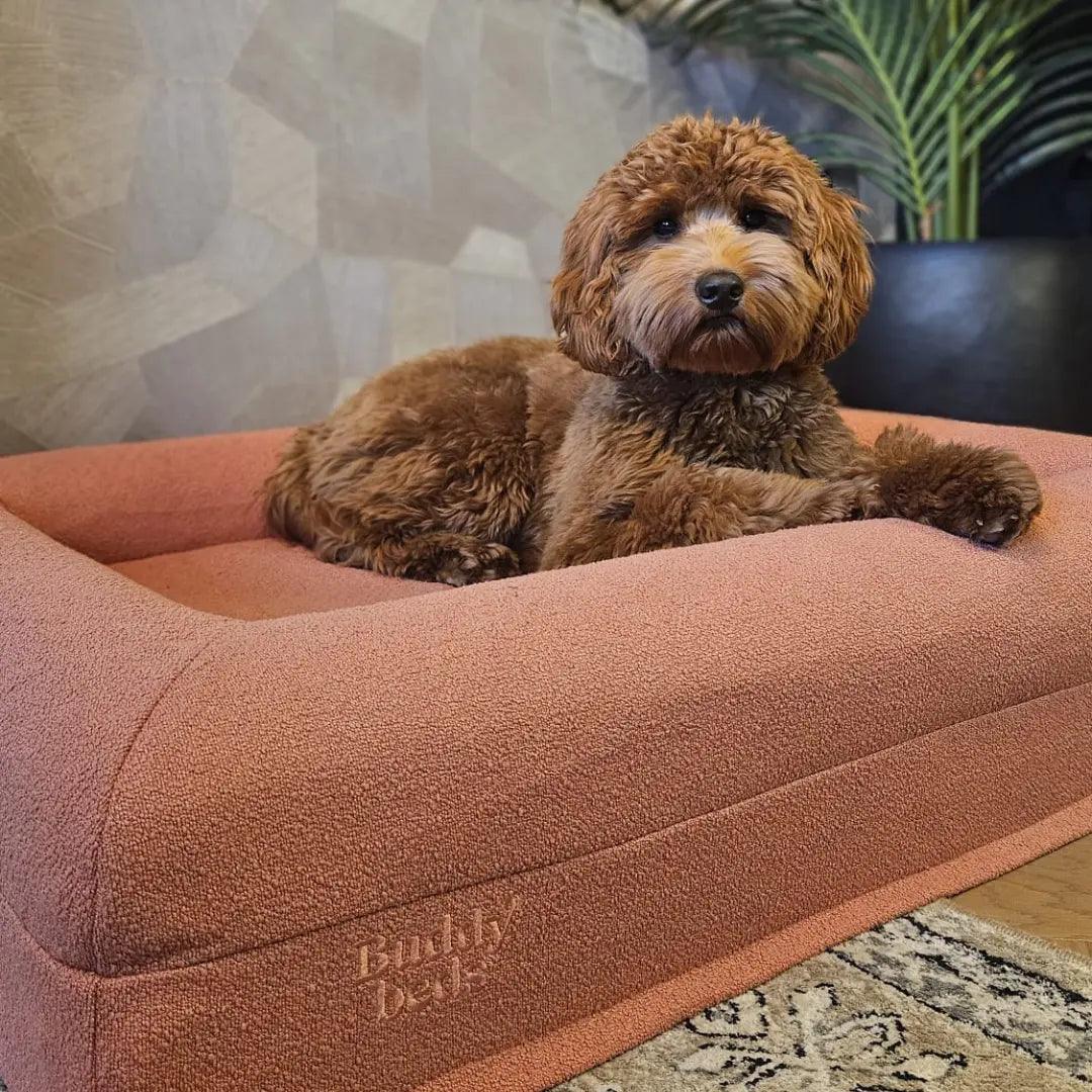 Dusty Pink Hoes - Buddy Beds - Orthopedische Hondenmand