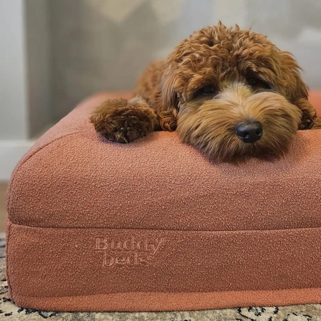 Dusty Pink Hoes - Buddy Beds - Orthopedische Hondenmand