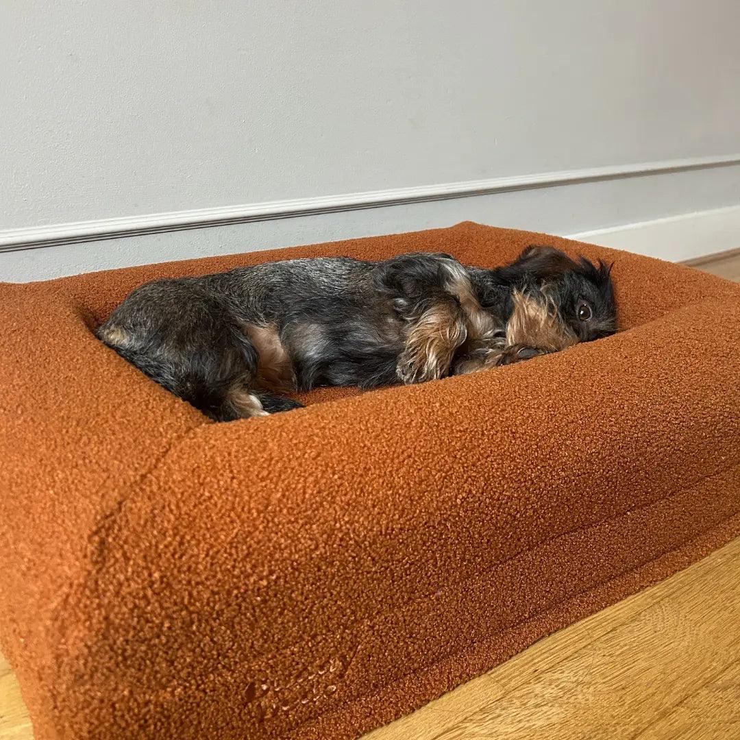 Golden Teddy Hoes - Buddy Beds - Orthopedische Hondenmand