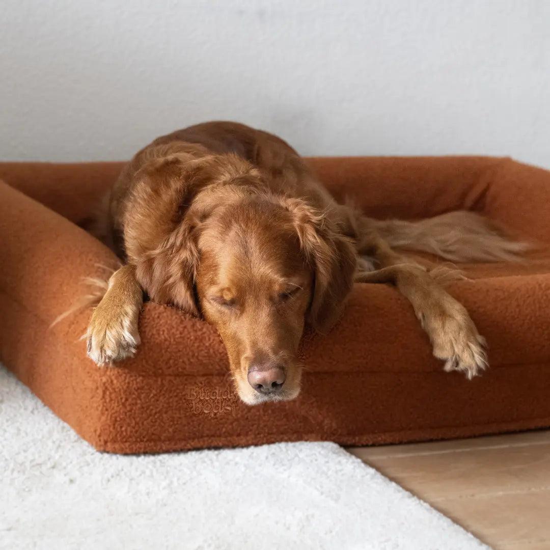 Golden Teddy Hoes - Buddy Beds - Orthopedische Hondenmand