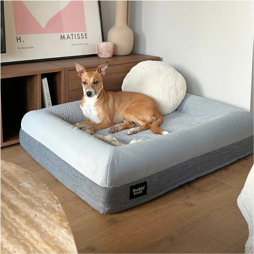 Medium Buddy Bed - Buddy Beds - Orthopedische Hondenmand