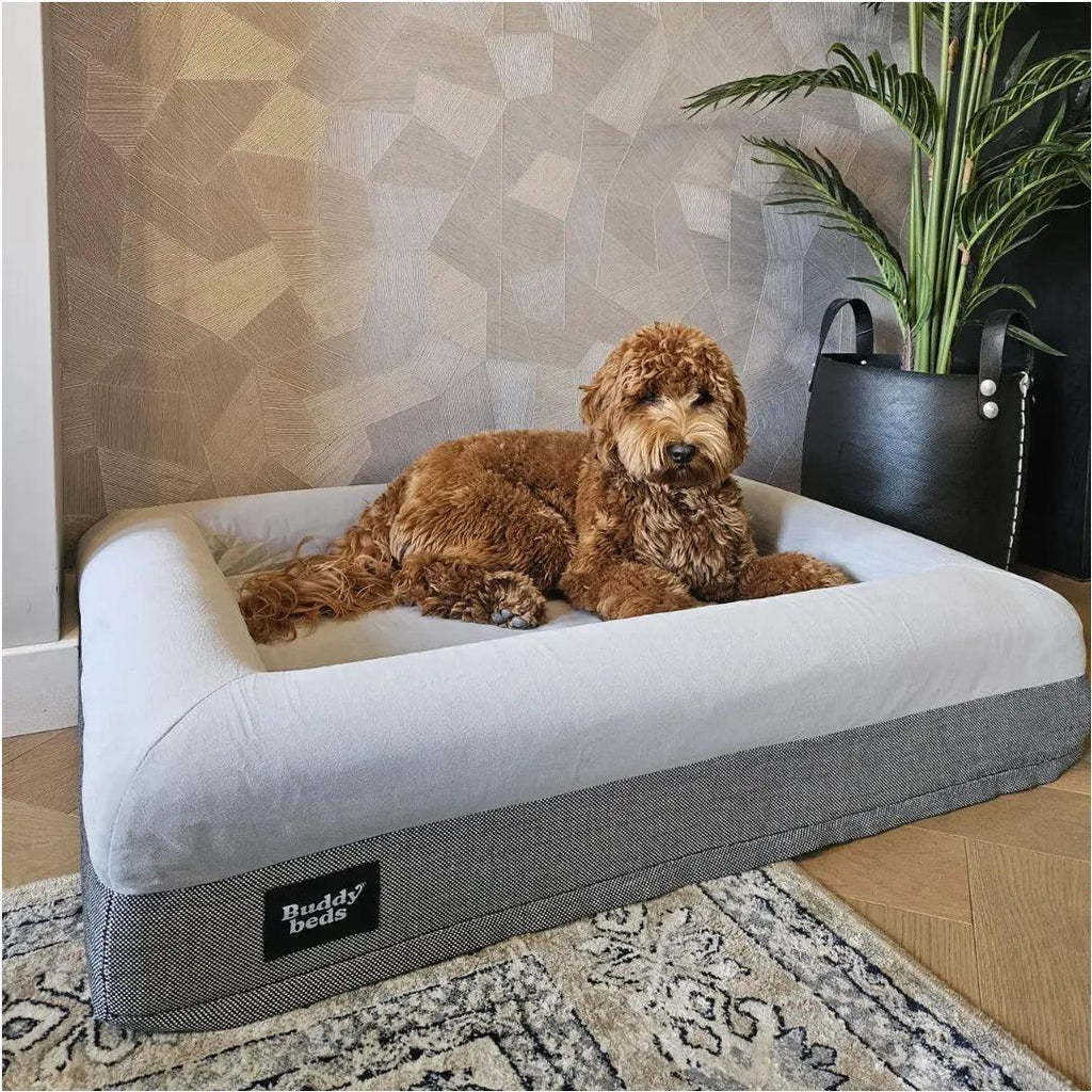 Medium Buddy Bed – Orthopedische Hondenmand – Buddy Beds
