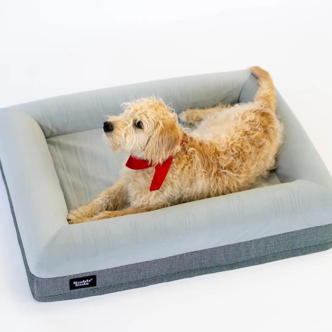 Medium Buddy Bed - Buddy Beds - Orthopedische Hondenmand