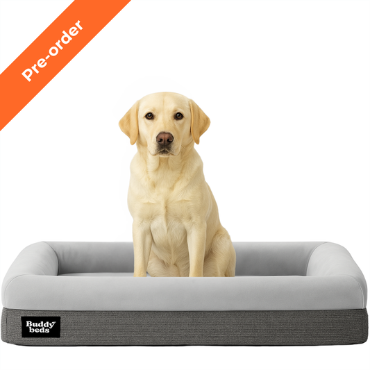 Pre-order Buddy Bed (11 t/m 29september)