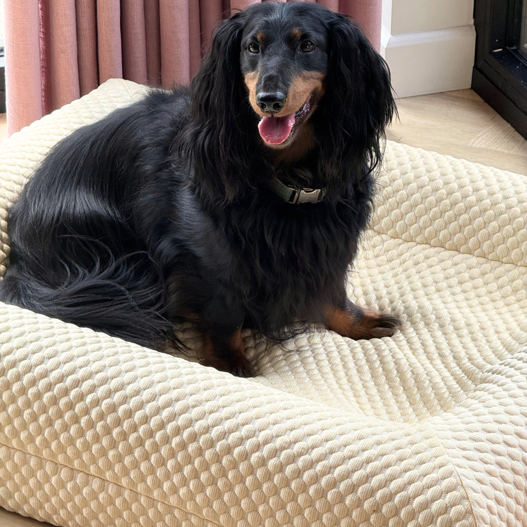 Verkoelende Hoes Natural Yellow