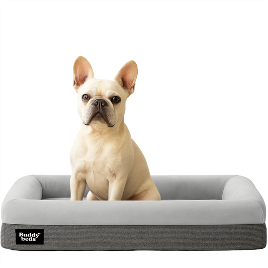 Small Buddy Bed