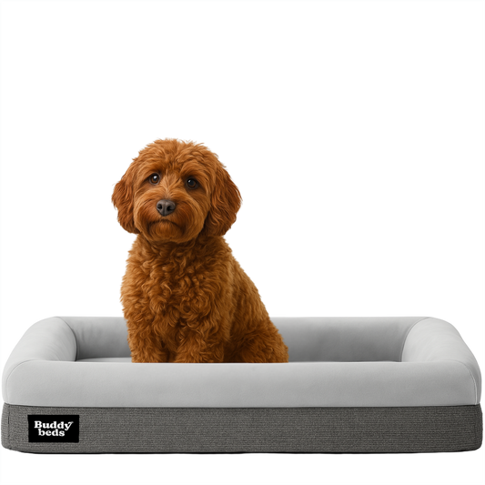 Medium Buddy Bed