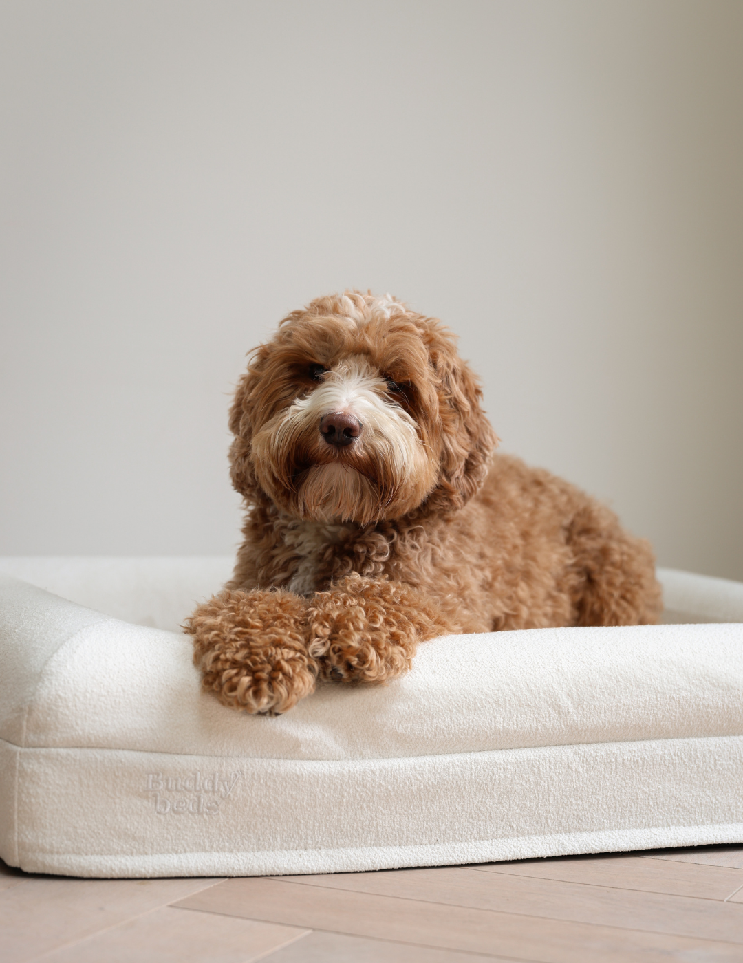Matelas orthopédique Pawz & Pepper Manila, tabac Matelas orthopédique Pawz & Pepper Manila, tabac