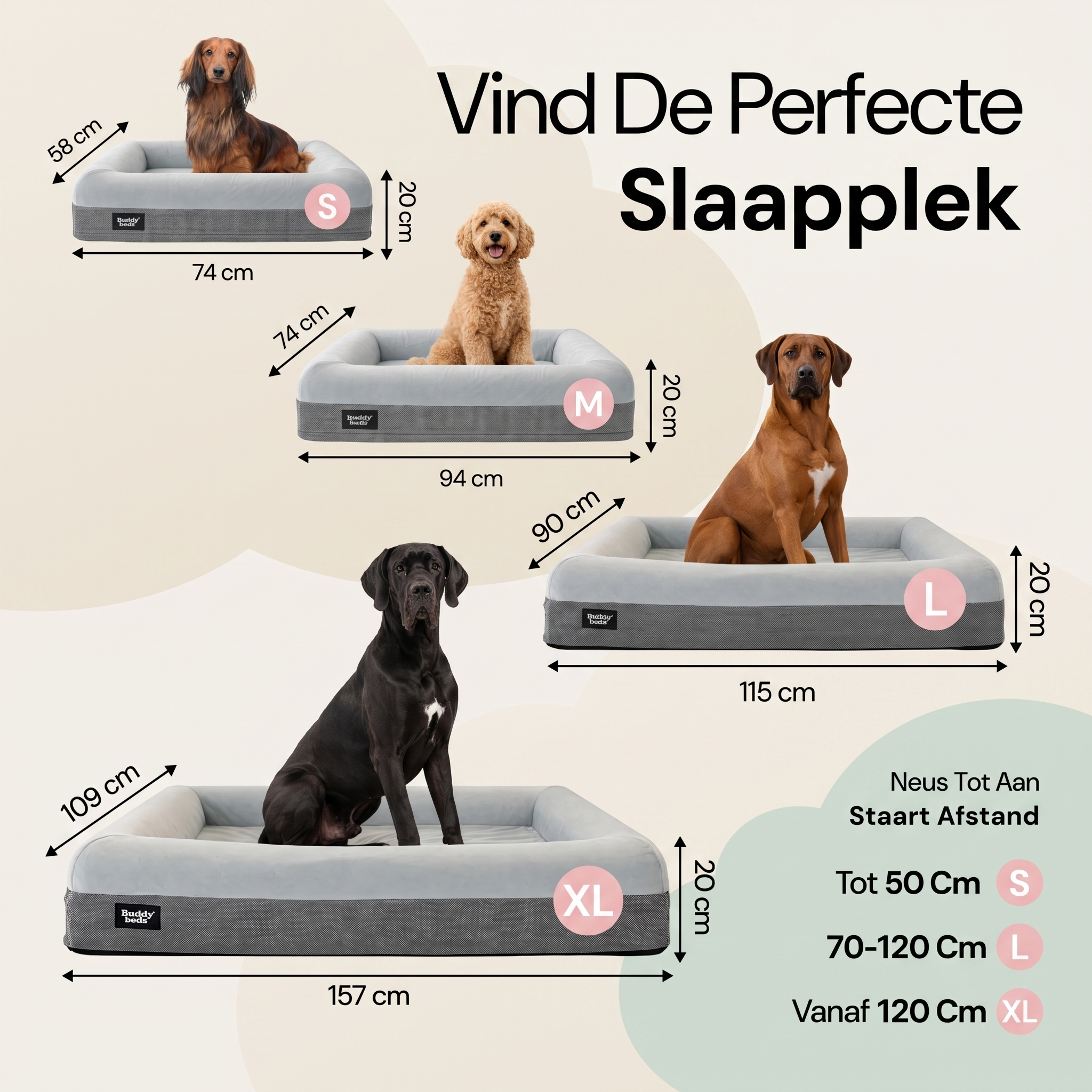 XL Buddy Bed