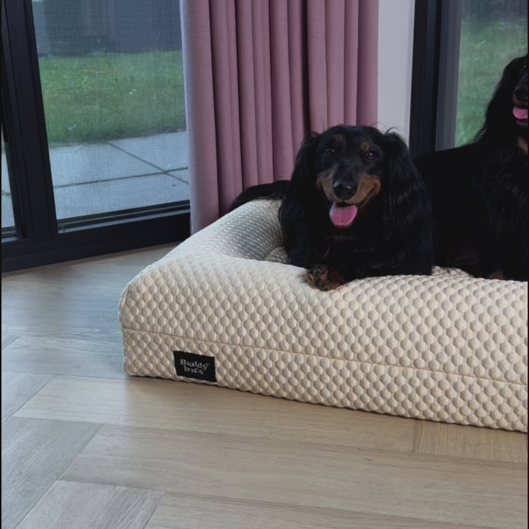 Verkoelende Hoes Natural Yellow